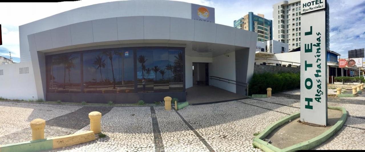 Algas Marinhas