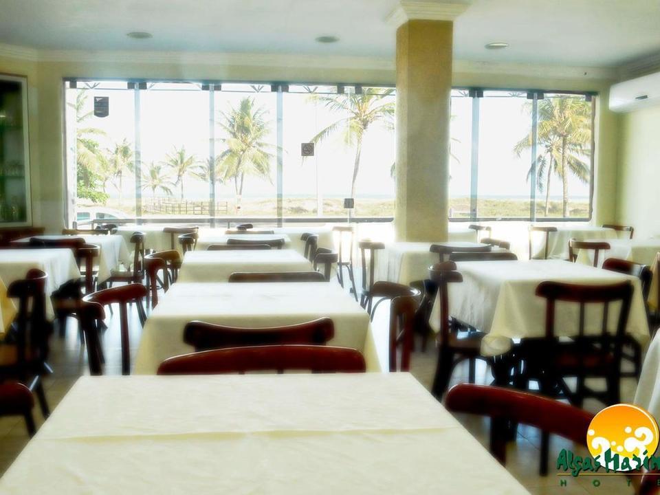Algas Marinhas Aracaju